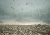 Symphony_Video_Still