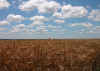 kansas