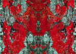 rorschach