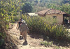 guernica-salvador-mining-e1373722679109-thumb
