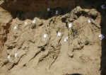 phr_afgdel_remains_630x420_130604_1