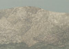 Particulate_Matter
