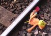 Zelfmoord_trein