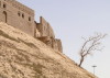 erbil