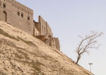 erbil