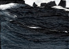 Knaupp_Thumb