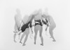 Samantha_Wall_3_stiffasaboardcorrected_feature_600x425