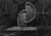 Zeke_Berman_feature