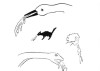 Donald_Urquhart_We_all_get_sick_600x425
