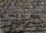Sacred_Land_2011_600x425