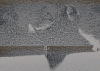 6864307451_345e9bf447_z