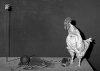 Conversation_2003_feature