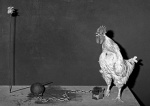Conversation_2003_feature