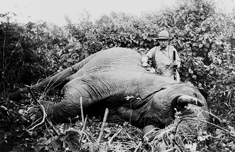 Shooting an Elephant George Orwell Essay