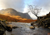 scottish highlands saffron_blaze