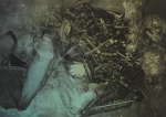 JH-3316_feature