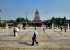 wild goose pagoda christy warren