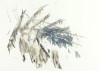 Theresa Bloise_feature