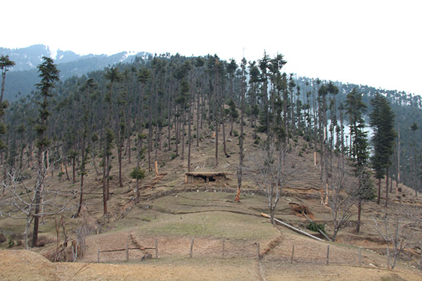Atop the site of the Pathribal fake encounter, locally known as Zoni Tengri Hill. Army and special forces surrounded this hill on the morning of March 25, 2000.