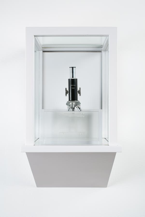 Tavares Strachan, The Invisibles (Rosalind Franklin), 2014-2015 Microscope, mineral oil, Plexiglas, glass, wood.