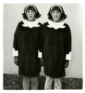 Diane Arbus  Identical Twins, Roselle, New Jersey 1967 2014-LR