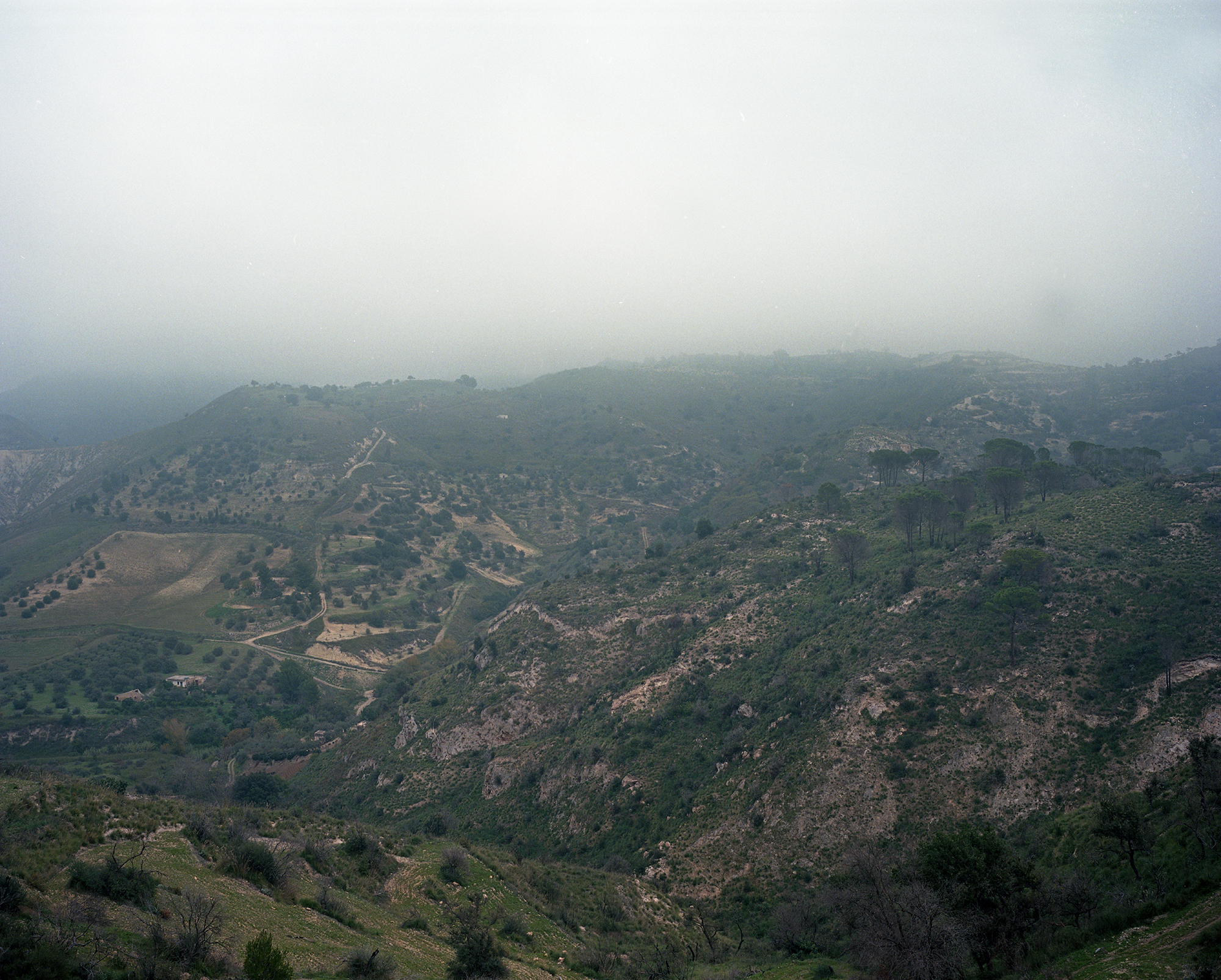 Mineo, Sicily, Italy, June 2015. 