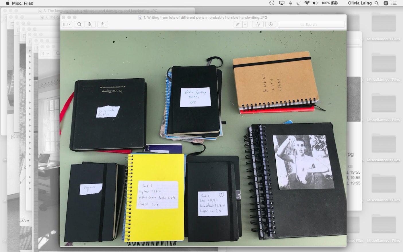Olivia Laing notebooks