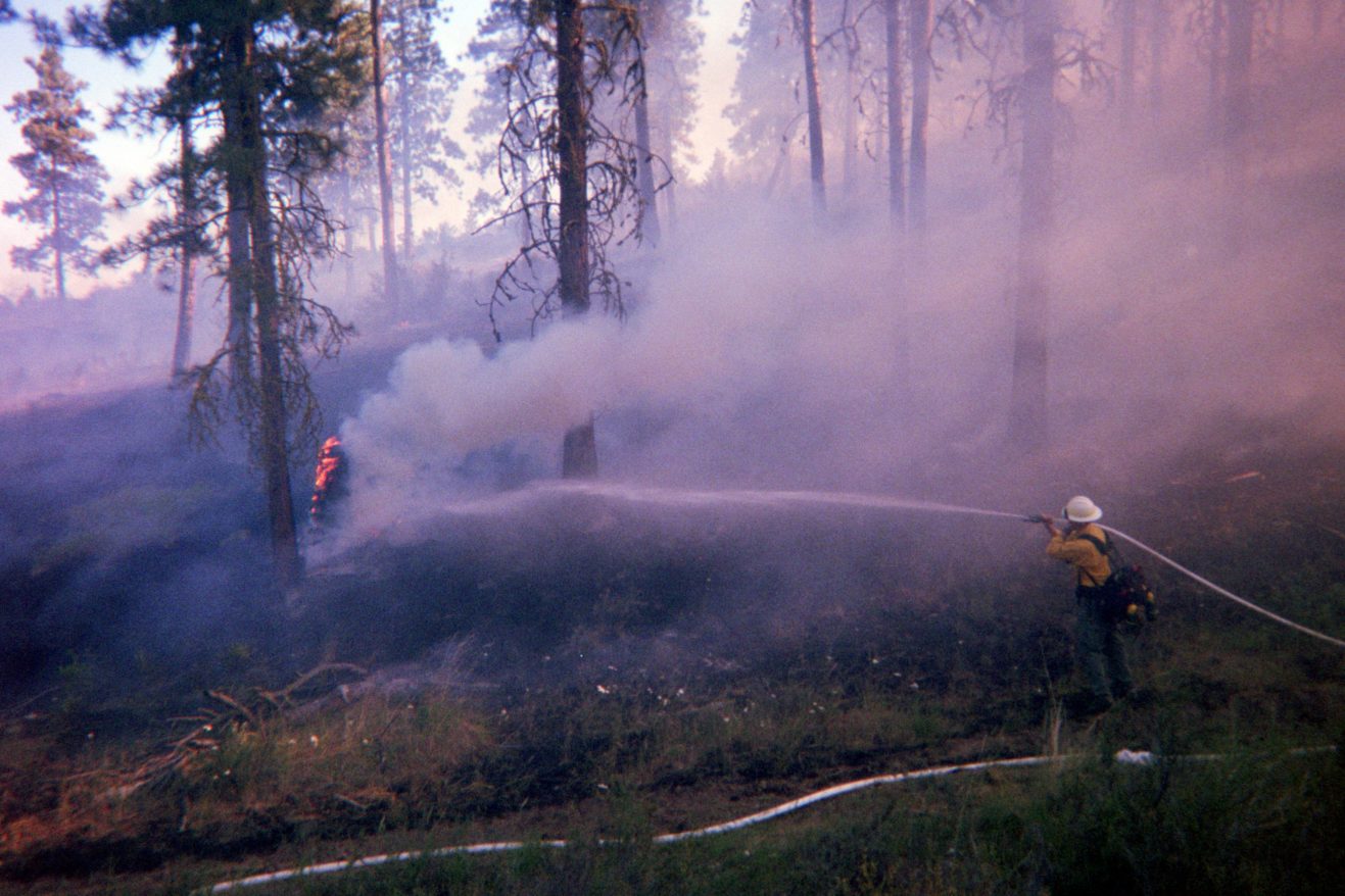 Harrison Dietzman firefighting