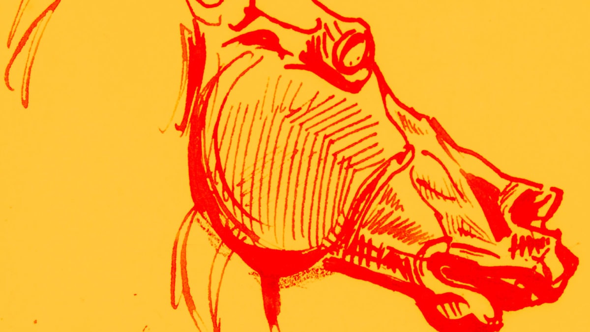 Major Long Talks to His Horse Guernica