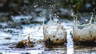 Droplets of rain fall into a muddy puddle