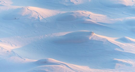 On Metaphors and Snow Boots - Vimarsana News