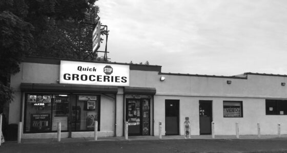 It's Not Like I Even Wanna Talk about How I'm the Only Black Person Watching Clerks III – Guernica - Vimarsana News