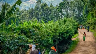 Two women walking on a dirt road in Kayanza, Burundi.