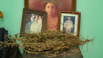 Melba Arellano, En Exterogestació