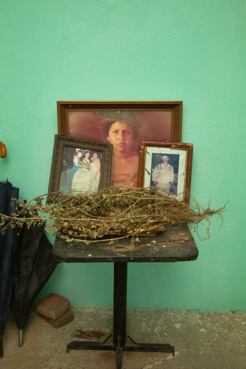 Melba Arellano, En Exterogestació