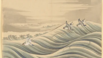 Chidori Birds.