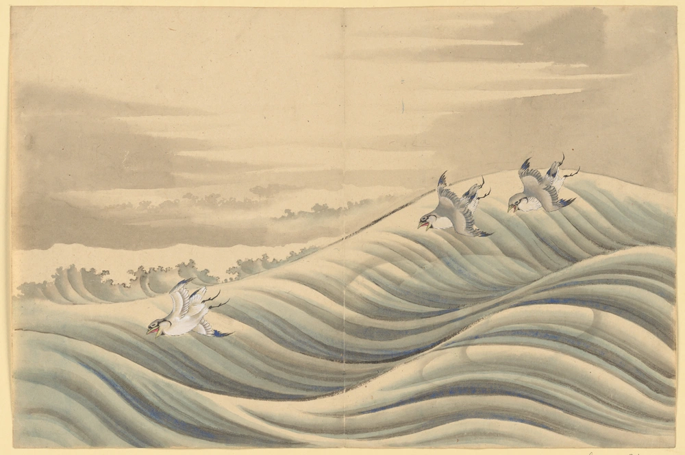 Chidori Birds.