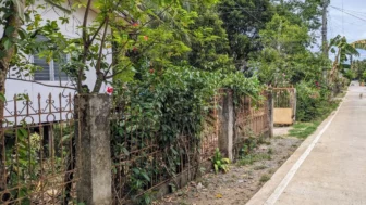 Kaisa Rillorta Aquino