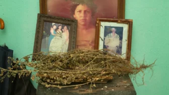 Inocentes - Melba Arellano, En Exterogestació